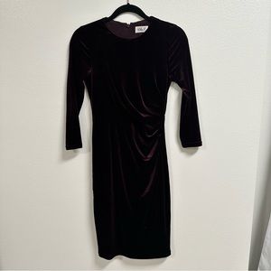 Eliza J Velvet Dress